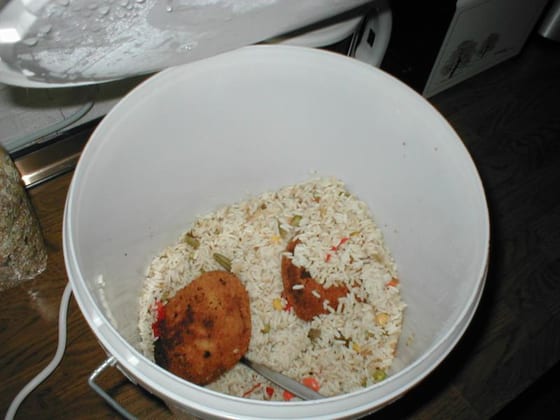 P3010030