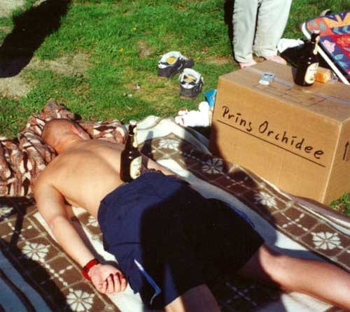 sen bratbier